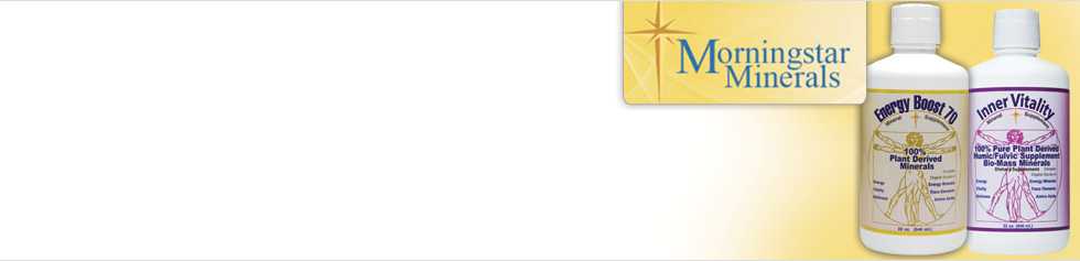 Morningstar Minerals
