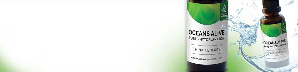 Oceans Alive / Activation